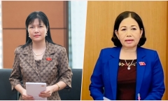Đề xuất phạt tiền gấp nhiều lần tiền cọc để tránh đấu giá thành công rồi bỏ cọc