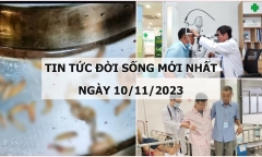 Tin tức đời sống mới nhất ngày 10/11: Hãi hùng phát hiện hàng chục con dòi trong hốc mũi người đàn ông