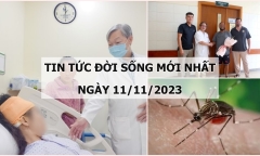 Tin tức đời sống mới nhất ngày 11/11: Người phụ nữ bị nứt não hiếm gặp, gần 30 năm mới phát hiện