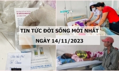 Tin tức đời sống mới nhất ngày 14/11: Phát hiện mẫu cá đặc sản dương tính với chất cấm tại Quảng Bình