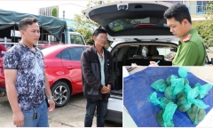 Bắt người đàn ông đặt bẫy bắt 10 con khỉ đuôi dài, đưa về Tây Ninh nấu cao bán