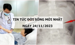 Tin tức đời sống mới nhất ngày 24/11: Cứu sống người phụ nữ nguy kịch do bị ong đốt hơn 50 vết