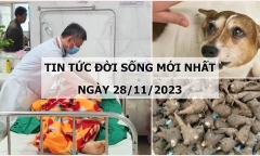 Tin tức đời sống mới nhất ngày 28/11: Người đàn ông tử vong sau khoảng 3 tháng bị chó nhà nuôi cắn