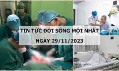 Tin tức đời sống mới nhất ngày 29/11: Người phụ nữ nôn nhiều, không thể đi tiểu sau khi nuốt mật cá trắm