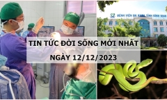 Tin tức đời sống mới nhất ngày 12/12: Cấp cứu bé gái 6 tuổi bị rắn lục đuôi đỏ cắn