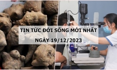 Tin tức đời sống mới nhất ngày 19/12: Ăn lẩu có nấu kèm củ ấu tẩu, 11 người xuất hiện triệu chứng ngộ độc