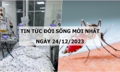 Tin tức đời sống mới nhất ngày 24/12: Phối hợp liên viện cứu bé 14 tuổi sốc sốt xuất huyết biến chứng nặng