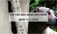 Tin tức đời sống mới nhất ngày 7/1: Hãi hùng phát hiện con đỉa dài hơn 6cm bò trong khí quản người đàn ông