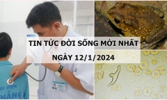 Tin tức đời sống mới nhất ngày 12/1: Gặp tai nạn giao thông, nam sinh bị đứt lìa phế quản gốc của phổi trái