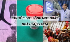 Tin tức đời sống mới nhất ngày 14/2: Nguyên nhân khiến bé 9 tuổi ho nghe như tiếng kèn