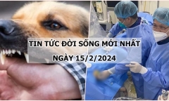 Tin tức đời sống mới nhất ngày 15/2: Người đàn ông tử vong sau 5 tháng bị chó cắn