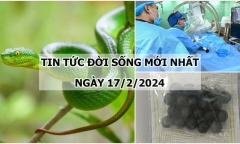 Tin tức đời sống mới nhất ngày 17/2: Người phụ nữ suy thận cấp do dùng thuốc đông y không rõ nguồn gốc