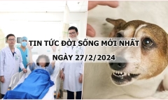 Tin tức đời sống mới nhất ngày 27/2: Cứu sống người phụ nữ bị đột quỵ nhồi máu não cấp