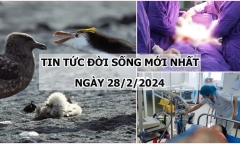 Tin tức đời sống mới nhất ngày 28/2: Báo động đỏ toàn viện cứu bệnh nhân  bị phình vỡ động mạch chủ