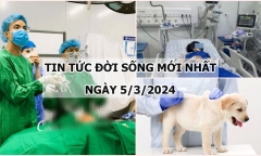Tin tức đời sống mới nhất ngày 5/3: Cứu nữ sinh 15 tuổi bị ngộ độc thuốc an thần
