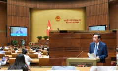 Báo cáo kết quả thẩm tra, phân tích ưu và nhược điểm của 2 phương án rút BHXH một lần