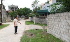 Hoảng hốt phát hiện 2 con rắn lục đuôi đỏ bò vào nhà