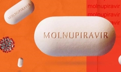 Người dân cần lưu ý gì khi sử dụng thuốc Molnupiravir?