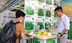 Tin thời sự nóng mới nhất ngày 18/8: TP.HCM đưa nông dân đi nước ngoài học tập kinh nghiệm