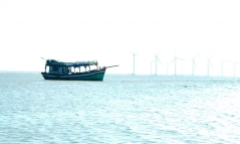 Tin tức pháp luật mới nhất ngày 28/3: Điều tra vụ người đàn ông bị đánh tử vong khi đi mò nghêu