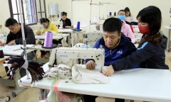 Hà Nội sẽ đào tạo nghề miễn phí cho 5 nhóm lao động