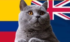 Nhận định soi kèo trận nữ Colombia-New Zealand Olympic Paris, 22h ngày 28/7: Mèo tiên tri chọn ai?