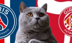 Nhận định soi kèo trận PSG vs Girona, Champions League 2h ngày 19/9: Mèo tiên tri chọn “hoàng tử”
