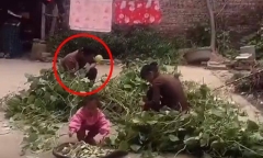Vợ bỏ về nhà mẹ đẻ sau khi cãi nhau với chồng, dở khóc dở cười khi vừa bước vào sân
