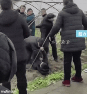 Đang đón dâu về thì bị dân làng chặn đường xin tiền, nhà trai có hành động khiến nhiều người sững sờ