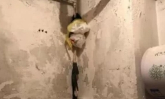 Nữ sinh thấy ánh sáng đỏ le lói từ góc nhà tắm, mặt tái mét khi phát hiện điều đáng sợ