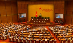 Giảm 30% thuế tạo 