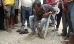 Clip: Bị rắn hổ mang cắn, người đàn ông hạ gục rồi mang 