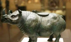 Đi cuốc đất, lão nông dân tìm thấy “kho báu” hiếm