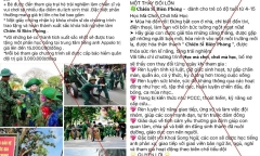 Đăng ký tham gia trại hè cho con, người phụ nữ bị lừa 600 triệu đồng