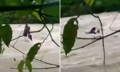 Clip: Hai học sinh bị lũ cuốn trôi khi băng qua sông để về nhà