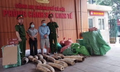 Khởi tố đường dây buôn bán ngà voi, thuốc lá lậu quy mô lớn tại Hà Nội