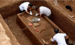 Lão nông đào đất phát hiện lớp đá lạ, chuyên gia tiên tri khó tin về “kho báu”