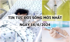 Tin tức đời sống ngày 16/6/2024: Bé gái bị ong vò vẽ đốt hơn 50 vết
