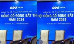 Đại hội đồng cổ đông bất thường của FLC tổ chức không thành công