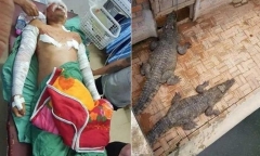 Đi vệ sinh lúc nửa đêm, chủ trang trại suýt trở thành 