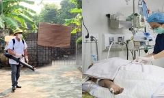 Cả nước ghi nhận 35 ca tử vong do sốt xuất huyết, Hà Nội đang diễn biến phức tạp