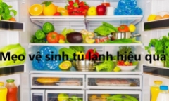 Gợi ý cách vệ sinh tủ lạnh hiệu quả