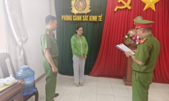 Khởi tố nữ giám đốc làm khống hơn 500 hóa đơn để trục lợi tiền thuế Khởi tố nữ giám đốc làm khống hơn 500 hóa đơn để trục lợi tiền thuế