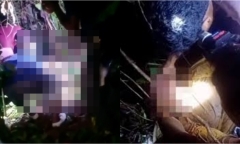 Clip: Mẹ đi hái rau không về, con trai