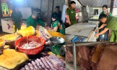 Tiêu hủy gần 800kg thịt heo ôi thiu, nhiễm dịch tả lợn châu Phi