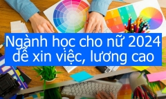 Top 3 ngành học năm 2024 cho nữ ra trường lương cao, dễ xin việc