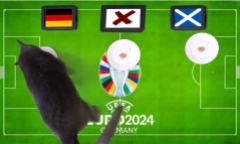 Dự đoán kết quả trận Đức vs Scotland: Chú mèo tiên tri Cass chọn đội nào?
