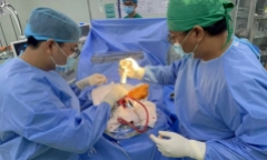 Lấy kéo ném mèo hoang, bé trai vô tình ném kéo ghim vào đầu chị gái