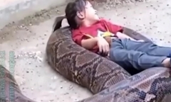 Clip: Bé gái thoải mái nằm trọn vào lòng 