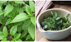 Loại rau quen thuộc trong bữa cơm Việt, được ví như 